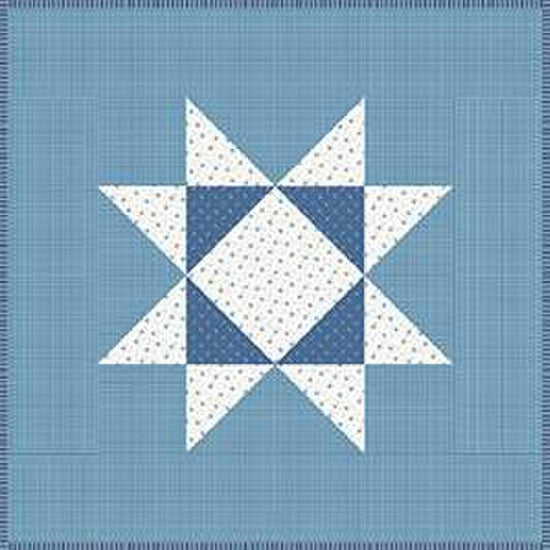 Image of the It's Sew Emma Prairie Home Book by Lori Holt for Riley Blake Designs. Features a quilt with a blue stars.
Cute Little Fabric Shop