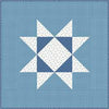 Image of the It's Sew Emma Prairie Home Book by Lori Holt for Riley Blake Designs. Features a quilt with a blue stars.
Cute Little Fabric Shop