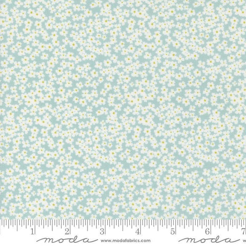 Image of the Shine Bloom Sky quilting cotton fabric by Sweetwater for Moda Fabrics. Features small flowers on a light blue background. 
Cute Little Fabric Shop