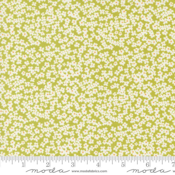 Image of the Shine Bloom Grass quilting cotton fabric by Sweetwater for Moda Fabrics. Features small flowers on a lime green background. 
Cute Little Fabric Shop