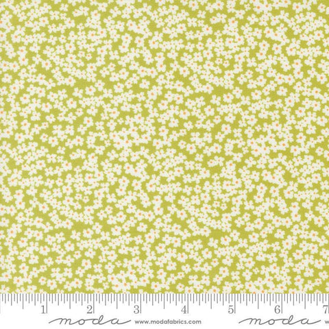 Image of the Shine Bloom Grass quilting cotton fabric by Sweetwater for Moda Fabrics. Features small flowers on a lime green background. 
Cute Little Fabric Shop