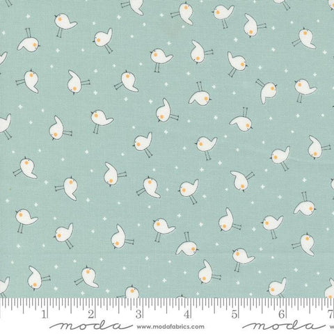 Image of the Shine Plus Sky quilting cotton fabric by Sweetwater for Moda Fabrics. Features small birds on a light blue background. 
Cute Little Fabric Shop