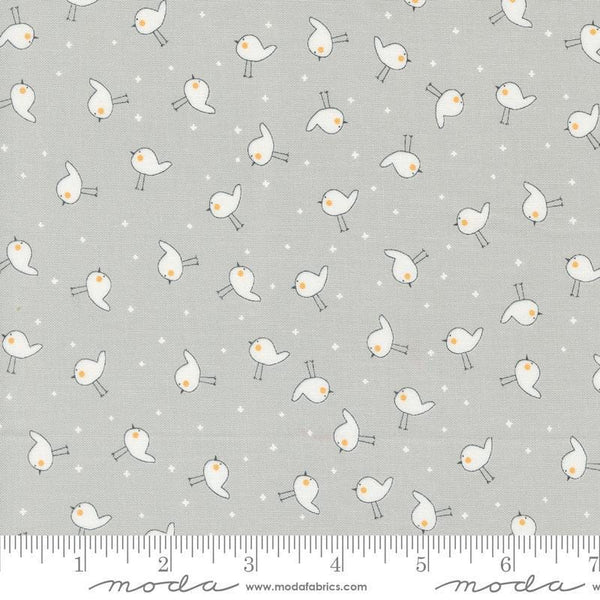 Image of the Shine Birdie Stormy quilting cotton fabric by Sweetwater for Moda Fabrics. Features small birds on a gray background. 
Cute Little Fabric Shop