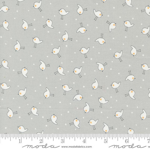 Image of the Shine Birdie Stormy quilting cotton fabric by Sweetwater for Moda Fabrics. Features small birds on a gray background. 
Cute Little Fabric Shop