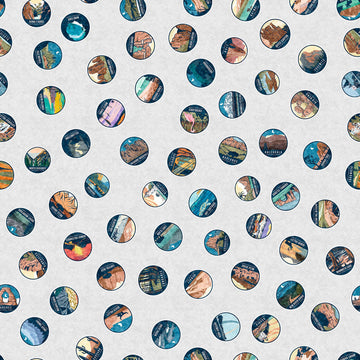 DEAL On The Road Again National Park Medallions 30741 Gray K - - QT Fabrics - Parks Circles - Quilting Cotton Fabric