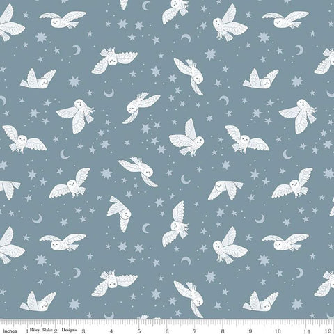 Image of the Twilight Creatures Night Owls Storm quilting cotton fabric by Natàlia Juan Abelló for Riley Blake Designs. Features scattered owls, stars, moons, and dots on a gray blue background. 
Cute Little Fabric Shop