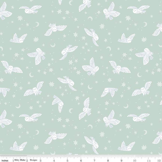 Image of the Twilight Creatures Night Owls Mint quilting cotton fabric by Natàlia Juan Abelló for Riley Blake Designs. Features scattered owls, stars, moons, and dots on a light mint background. 
Cute Little Fabric Shop