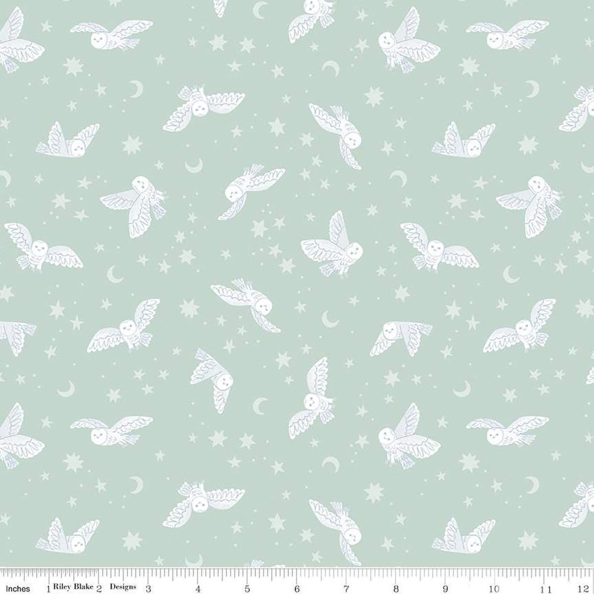 Image of the Twilight Creatures Night Owls Mint quilting cotton fabric by Natàlia Juan Abelló for Riley Blake Designs. Features scattered owls, stars, moons, and dots on a light mint background. 
Cute Little Fabric Shop