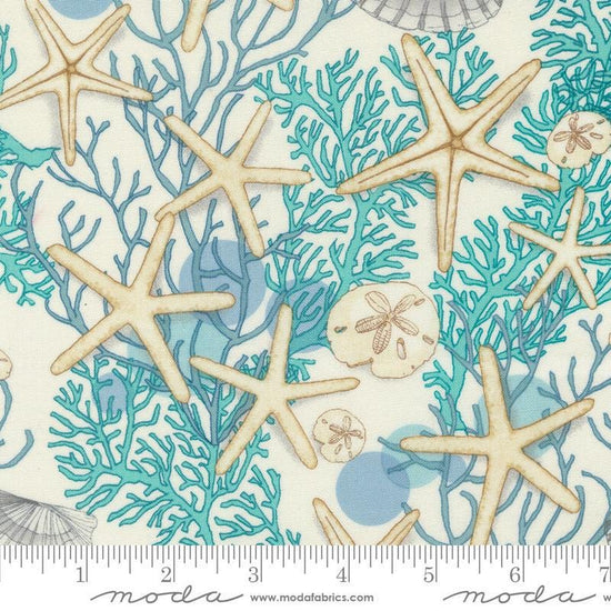 Serena Shores Shells Cloud quilting cotton fabric by Robin Pickens for Moda Fabrics. Features seashells on a cloud background. 
Cute Little Fabric Shop
