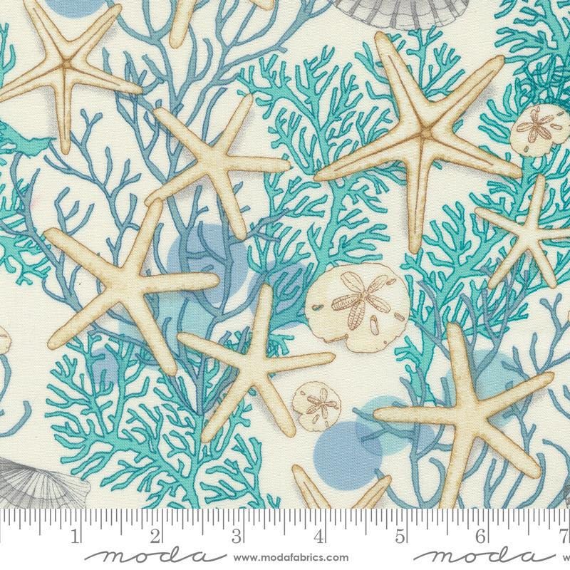 Serena Shores Shells Cloud quilting cotton fabric by Robin Pickens for Moda Fabrics. Features seashells on a cloud background. 
Cute Little Fabric Shop