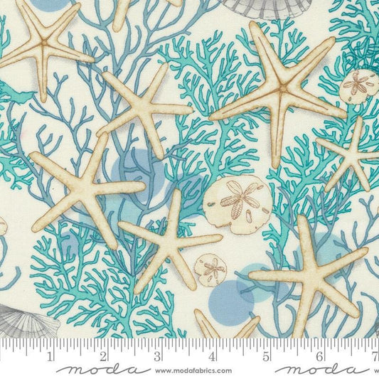 Serena Shores Shells Cloud quilting cotton fabric by Robin Pickens for Moda Fabrics. Features seashells on a cloud background. 
Cute Little Fabric Shop
