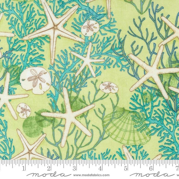 Serena Shores Shells Kelp quilting cotton fabric by Robin Pickens for Moda Fabrics. Features seashells on a light green background. 
Cute Little Fabric Shop