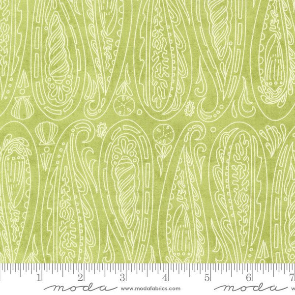 Serena Shores Paisley Kelp quilting cotton fabric by Robin Pickens for Moda Fabrics. Features illustrated paisley seashells on a light green background. 
Cute Little Fabric Shop