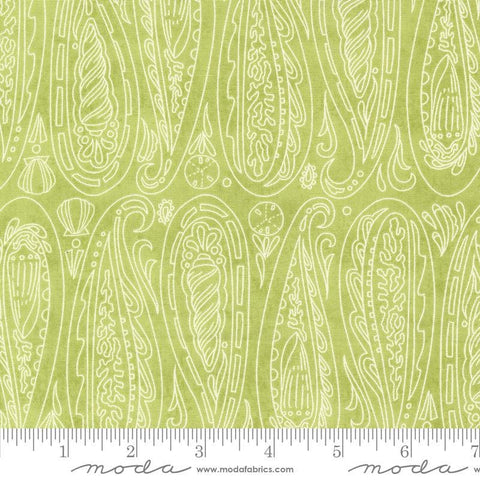 Serena Shores Paisley Kelp quilting cotton fabric by Robin Pickens for Moda Fabrics. Features illustrated paisley seashells on a light green background. 
Cute Little Fabric Shop