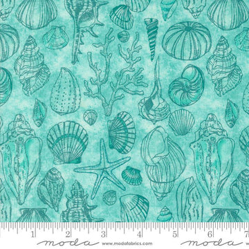Serena Shores Sketchy Shells Aqua quilting cotton fabric by Robin Pickens for Moda Fabrics. Features seashells on an aqua blue background. 
Cute Little Fabric Shop
