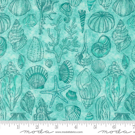 Serena Shores Sketchy Shells Aqua quilting cotton fabric by Robin Pickens for Moda Fabrics. Features seashells on an aqua blue background. 
Cute Little Fabric Shop