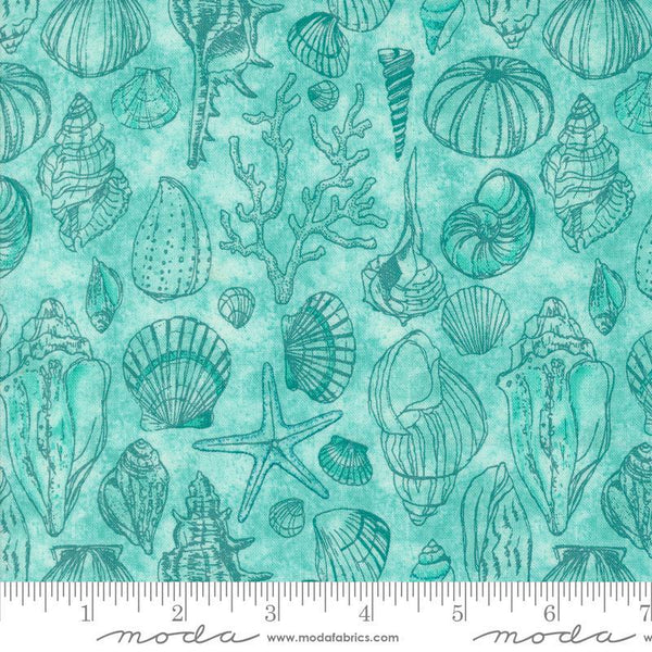 Serena Shores Sketchy Shells Aqua quilting cotton fabric by Robin Pickens for Moda Fabrics. Features seashells on an aqua blue background. 
Cute Little Fabric Shop
