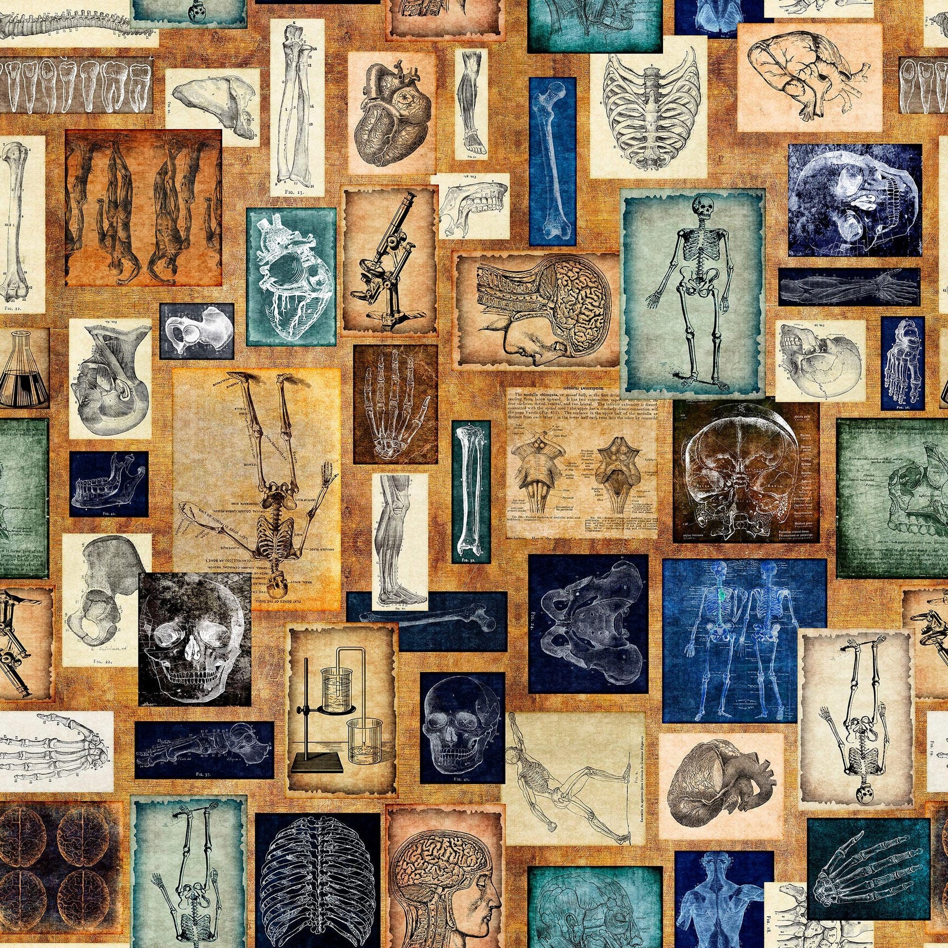 Image of the True Detective Anatomy Patches Copper quilting cotton fabrics by Morris Creative Group for QT Fabrics. Features illustrations of anatomy on a gold background.
Cute Little Fabric Shop