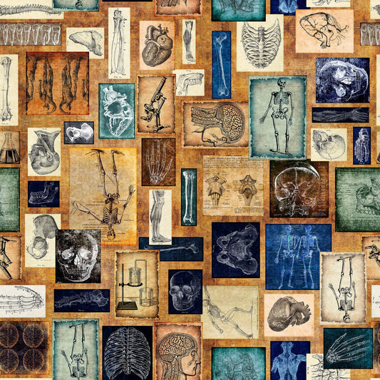 Image of the True Detective Anatomy Patches Copper quilting cotton fabrics by Morris Creative Group for QT Fabrics. Features illustrations of anatomy on a gold background.
Cute Little Fabric Shop