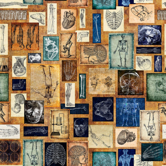 Image of the True Detective Anatomy Patches Copper quilting cotton fabrics by Morris Creative Group for QT Fabrics. Features illustrations of anatomy on a gold background.
Cute Little Fabric Shop