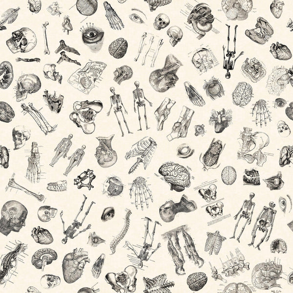 Image of the True Detective Anatomy Toss Beige quilting cotton fabrics by Morris Creative Group for QT Fabrics. Features scattered illustrations of anatomy on a cream background.
Cute Little Fabric Shop