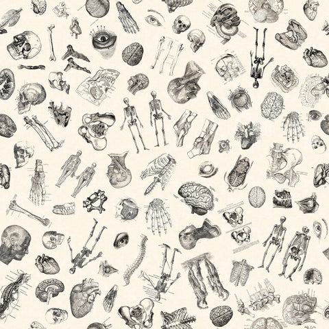 Image of the True Detective Anatomy Toss Beige quilting cotton fabrics by Morris Creative Group for QT Fabrics. Features scattered illustrations of anatomy on a cream background.
Cute Little Fabric Shop
