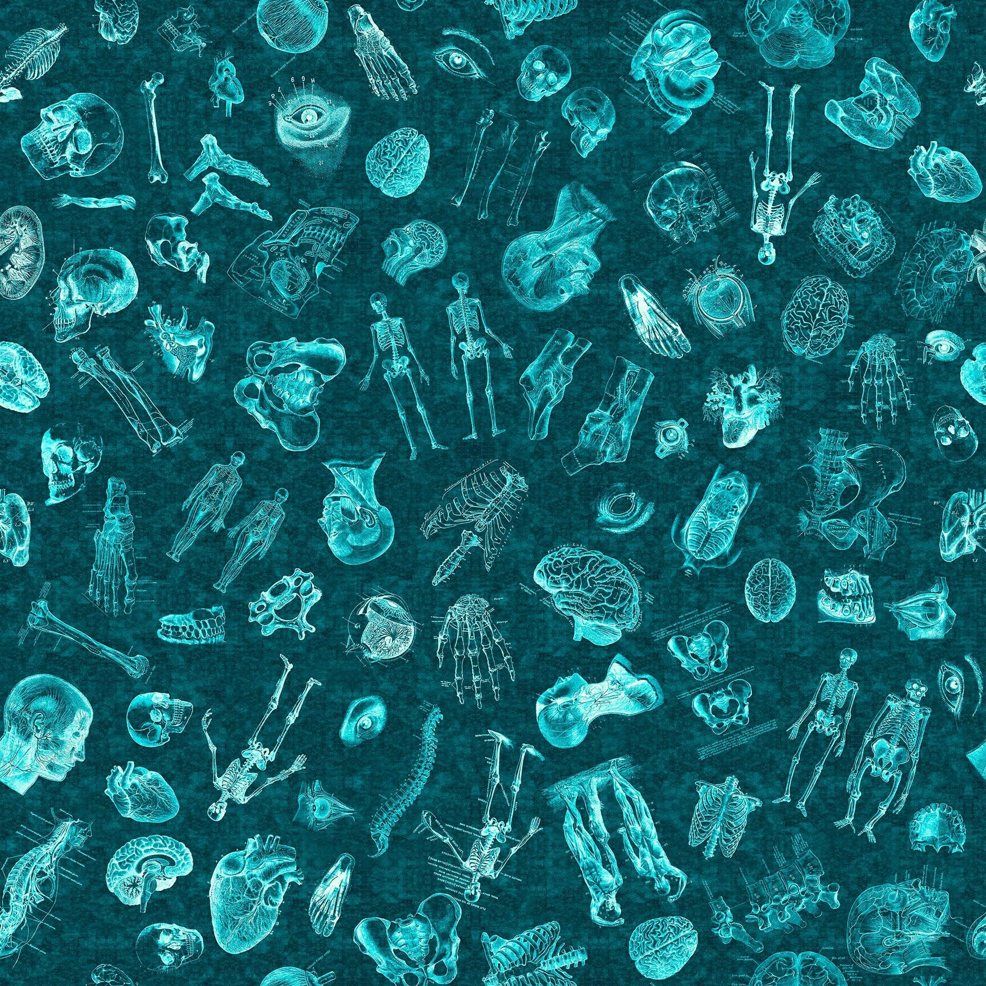 Image of the True Detective Anatomy Toss Jade quilting cotton fabrics by Morris Creative Group for QT Fabrics. Features scattered illustrations of anatomy on a teal background.
Cute Little Fabric Shop