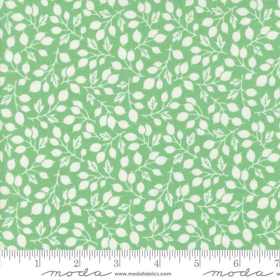 Image of the Portofino Branch Azure quilting cotton fabric by Fig Tree Co for Riley Blake Designs. Features vines on a green background. Cute Little Fabric Shop