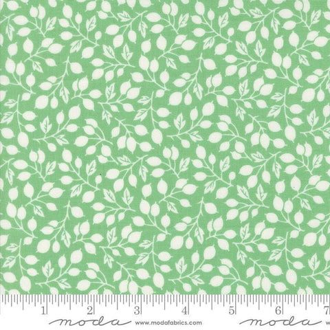 Image of the Portofino Branch Azure quilting cotton fabric by Fig Tree Co for Riley Blake Designs. Features vines on a green background. Cute Little Fabric Shop