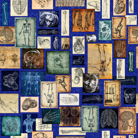 Image of the True Detective Anatomy Patches Royal quilting cotton fabrics by Morris Creative Group for QT Fabrics. Features illustrations of anatomy on a blue background.
Cute Little Fabric Shop