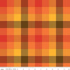 Image of the Wide Back Fall's in Town Checked Multi quilting cotton fabric by Sandy Gervais for Riley Blake Designs. Features a 5/8" gingham checked plaid with tiny diagonal lines with warm colors. 
Cute Little Fabric Shop