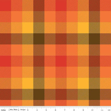 Image of the Wide Back Fall's in Town Checked Multi quilting cotton fabric by Sandy Gervais for Riley Blake Designs. Features a 5/8" gingham checked plaid with tiny diagonal lines with warm colors. 
Cute Little Fabric Shop
