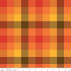 Image of the Wide Back Fall's in Town Checked Multi quilting cotton fabric by Sandy Gervais for Riley Blake Designs. Features a 5/8" gingham checked plaid with tiny diagonal lines with warm colors. 
Cute Little Fabric Shop