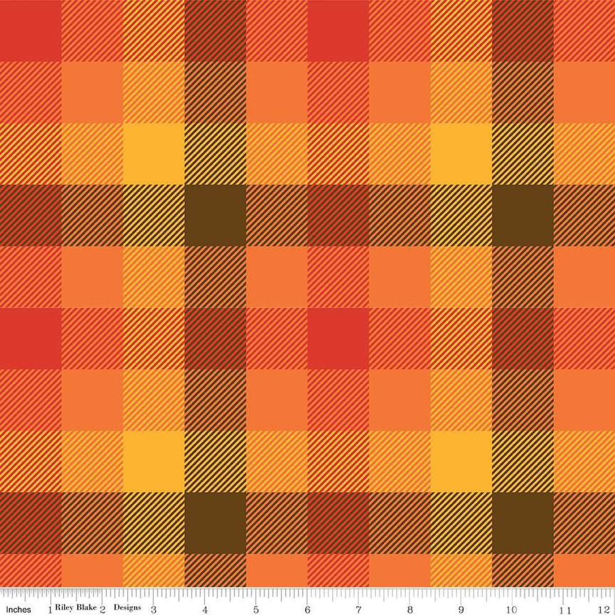 Image of the Wide Back Fall's in Town Checked Multi quilting cotton fabric by Sandy Gervais for Riley Blake Designs. Features a 5/8" gingham checked plaid with tiny diagonal lines with warm colors. 
Cute Little Fabric Shop