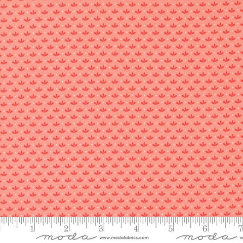 Image of the Raspberry Summer Sprout Carnation quilting cotton fabric by Sherri & Chelsi for Moda Fabrics. Features leaves on a coral background. Cute Little Fabric Shop