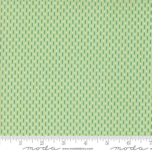 Image of the Raspberry Summer Beaded Mint quilting cotton fabric by Sherri & Chelsi for Moda Fabrics. Features lines on a green background. Cute Little Fabric Shop