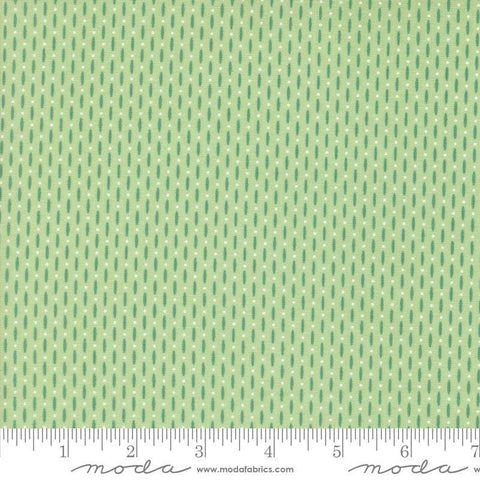Image of the Raspberry Summer Beaded Mint quilting cotton fabric by Sherri & Chelsi for Moda Fabrics. Features lines on a green background. Cute Little Fabric Shop