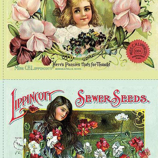 Image of the Sewing Seeds III Pillow Sham Panel quilting cotton fabric by Lisa Audit for Riley Blake Designs. Features vintage seed ads. 
Cute Little Fabric Shop