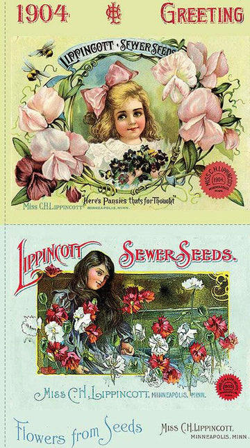 Image of the Sewing Seeds III Pillow Sham Panel quilting cotton fabric by Lisa Audit for Riley Blake Designs. Features vintage seed ads. 
Cute Little Fabric Shop