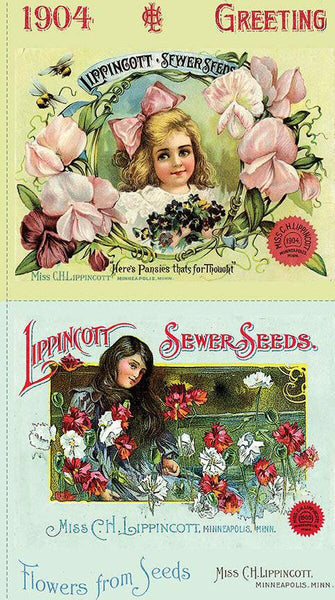 Image of the Sewing Seeds III Pillow Sham Panel quilting cotton fabric by Lisa Audit for Riley Blake Designs. Features vintage seed ads. 
Cute Little Fabric Shop