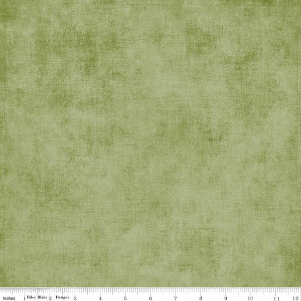 2yrd 17" End of Bolt - SALE Shades WIDE BACK WB200 Grass - Riley Blake Designs - 107/108" Wide - Mottled Pattern - Quilting Cotton Fabric