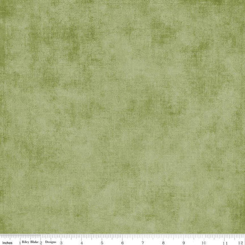 2yrd 17" End of Bolt - SALE Shades WIDE BACK WB200 Grass - Riley Blake Designs - 107/108" Wide - Mottled Pattern - Quilting Cotton Fabric