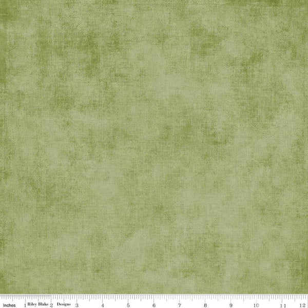 3 Yard Cut - SALE Shades WIDE BACK WB200 Grass - Riley Blake Designs - 107/108" Wide - Mottled Pattern - Quilting Cotton Fabric