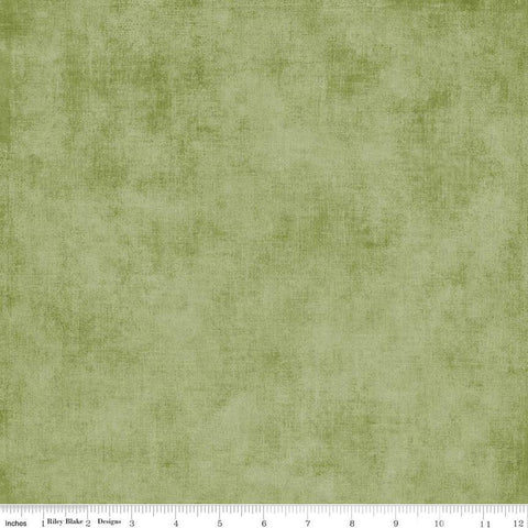 3 Yard Cut - SALE Shades WIDE BACK WB200 Grass - Riley Blake Designs - 107/108" Wide - Mottled Pattern - Quilting Cotton Fabric