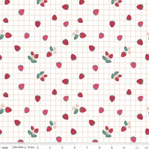 Image of the Berry Market Gingham Berried White quilting cotton fabric by Beverly McCullough for Riley Blake Designs. Features berries on a cream background. Cute Little Fabric Shop