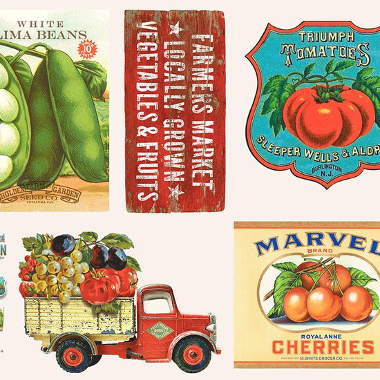 Image of the Farm And Garden Pillow Panel Canvas Milk by Cathe Holden for Moda Fabrics. Features garden and farming things on a panel. 
Cute Little Fabric Shop