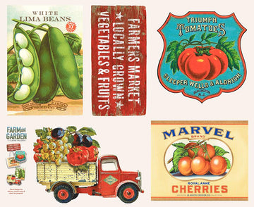 Image of the Farm And Garden Pillow Panel Canvas Milk by Cathe Holden for Moda Fabrics. Features garden and farming things on a panel. 
Cute Little Fabric Shop