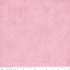 Image of the Wide Back Shades Carnation quilting cotton fabric by Riley Blake Designs. Features a textured fabric on a pink background. 
Cute Little Fabric Shop