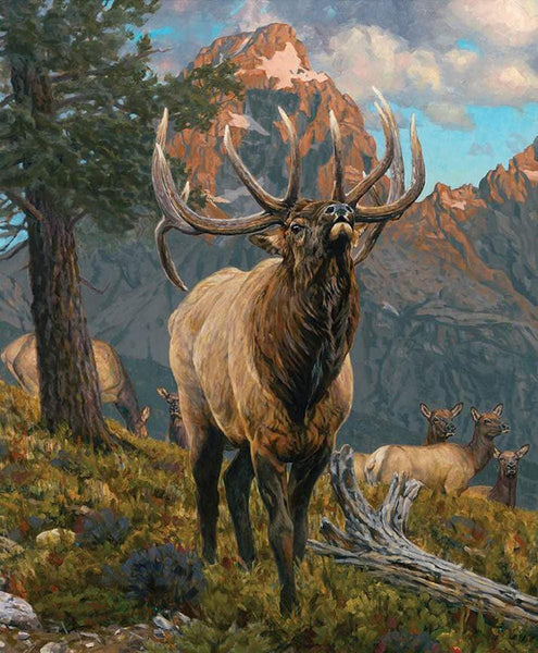 SALE Majestic in Nature Grand Elk Panel PD15980 - Riley Blake Designs - DIGITALLY PRINTED - Elk Mountain Forest - Quilting Cotton Fabric