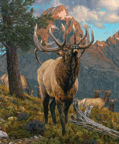 SALE Majestic in Nature Grand Elk Panel PD15980 - Riley Blake Designs - DIGITALLY PRINTED - Elk Mountain Forest - Quilting Cotton Fabric